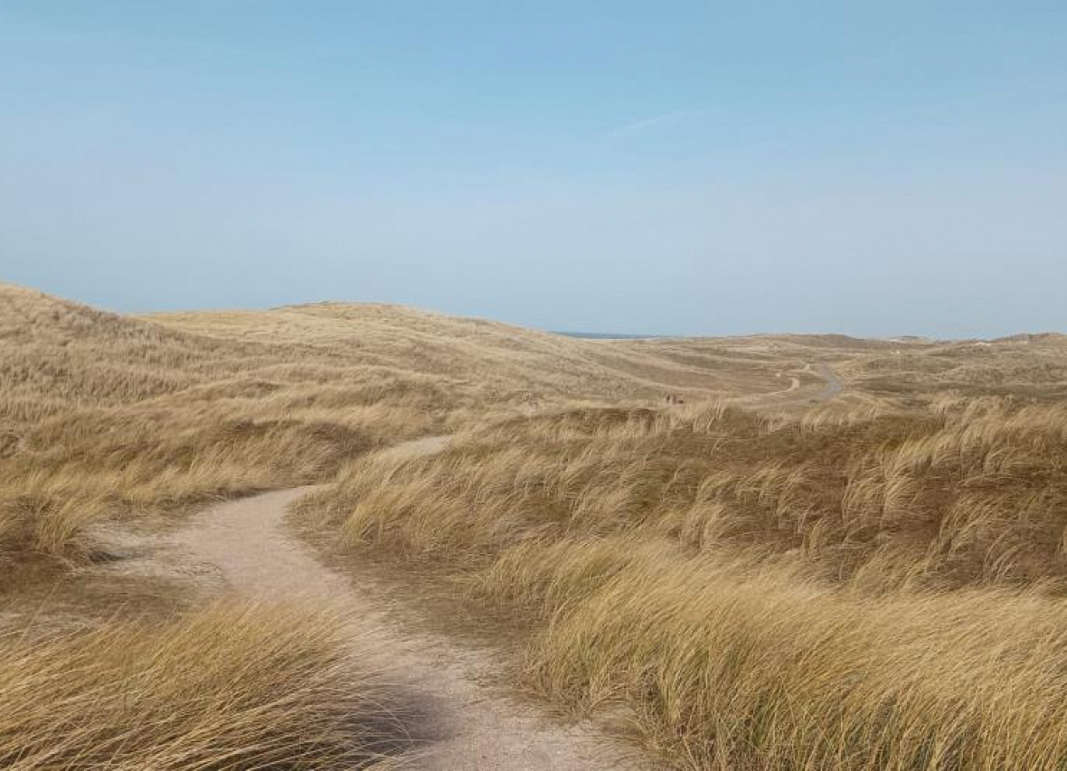 Pima aan Zee