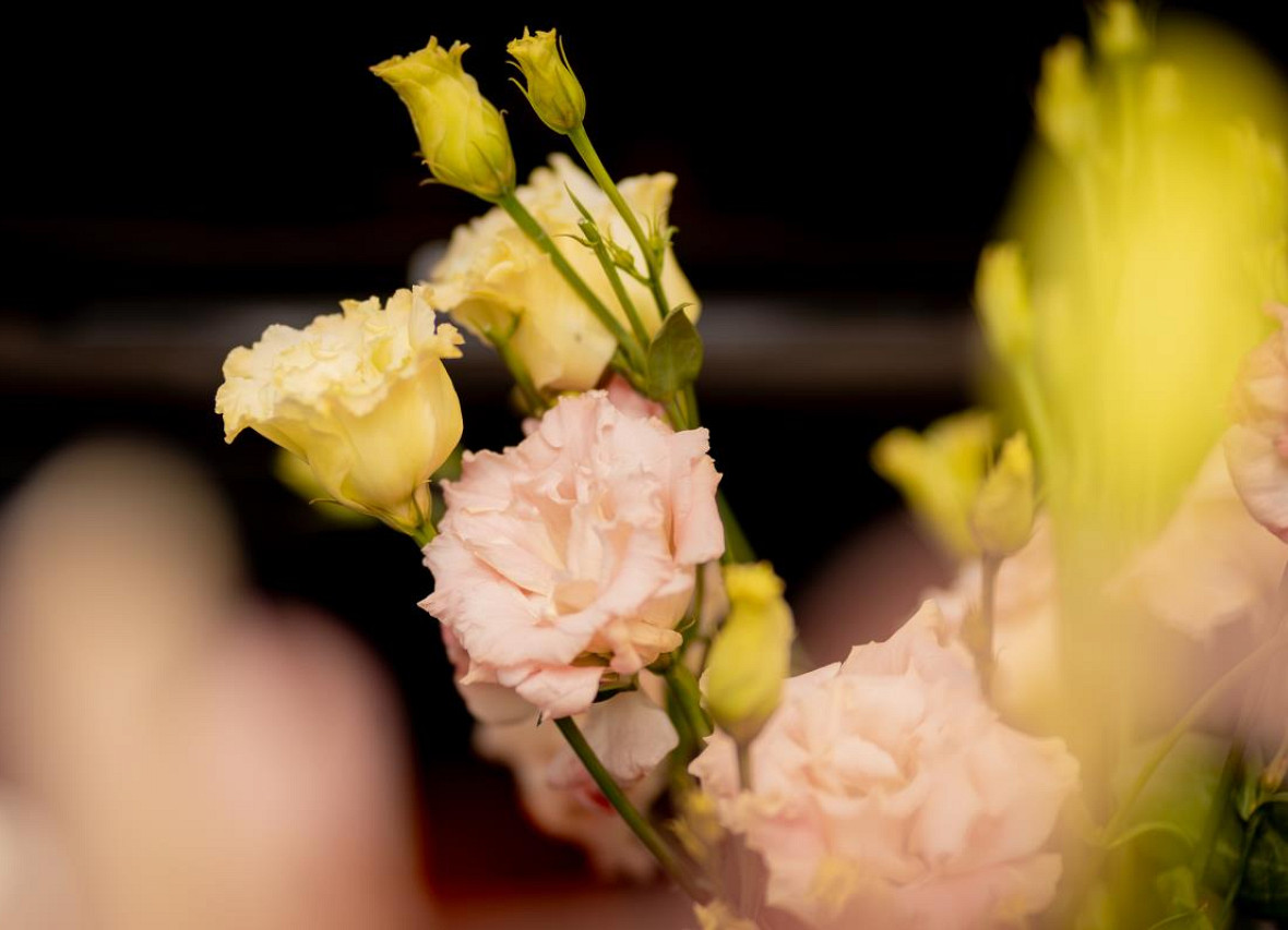 Liesel´s Loft - Luxus pur 