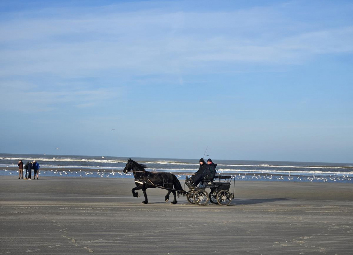 Kutsche am Strand