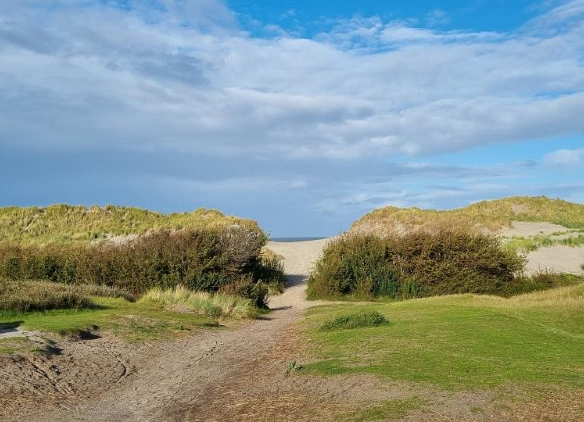 Aufgang durch die Dünen zum Meer 