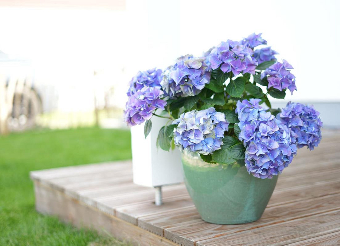 Villa am See
