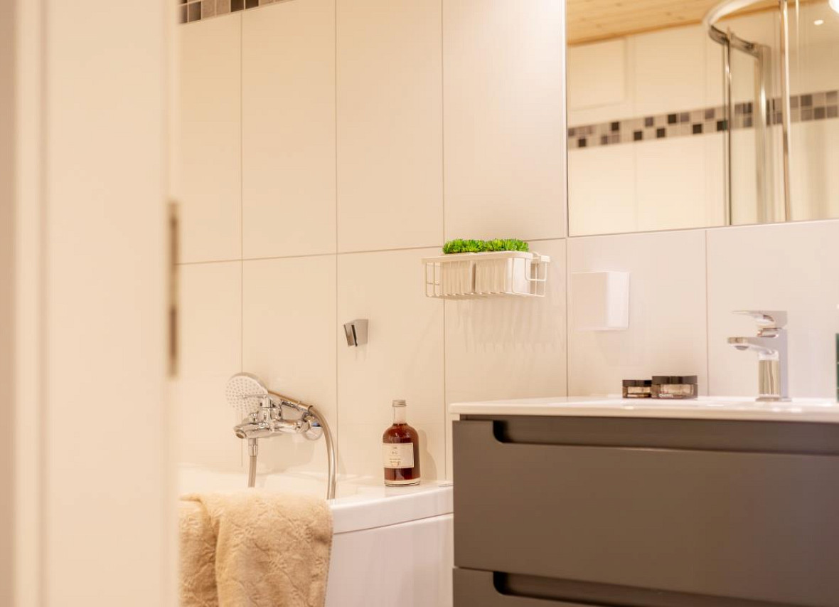 Modernes Badezimmer im Ferienhaus Seestern in Greetsie